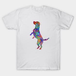 Beagle dog T-Shirt